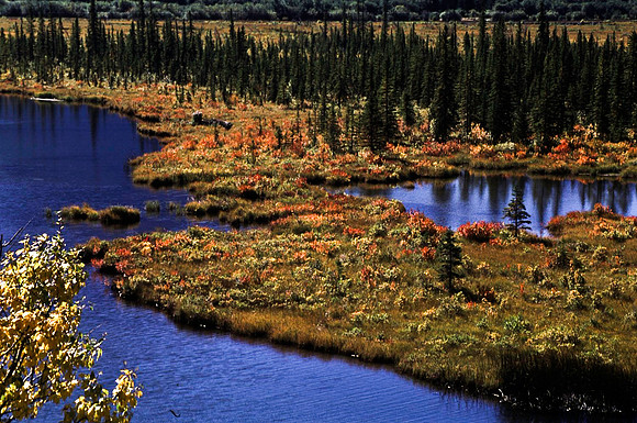 06838_B19_SL_COLOR_LAKE_LOUISE_TO_BANFF_BC_WS_97_07.jpg
