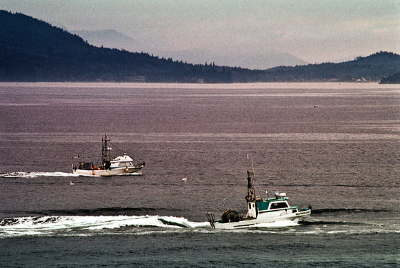 2547_SL_BOX_I_COLOR_OVKA_VICTORIA_CANADA_13