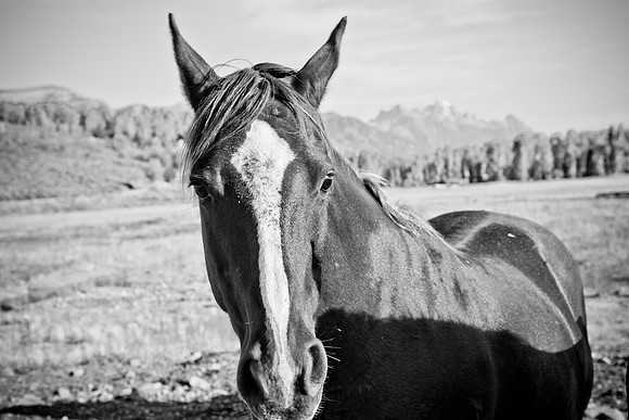 0020_Wyonming_To_Ketchem_Sun_Valley_ID_5L8Y7464