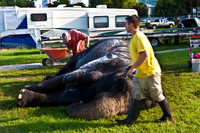 42588_Circus_Miami__Park__IMG_6388