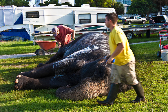 42588_Circus_Miami__Park__IMG_6388