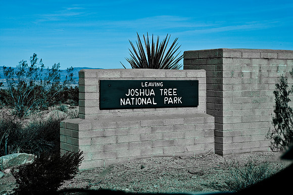 06646_DG_COLOR_JOSHUA_TREE_NAT_PARK_29_PALMS_CALIFORNIA_CA_USA_2007_ZV4N_504