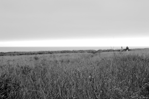 5L8Y0600