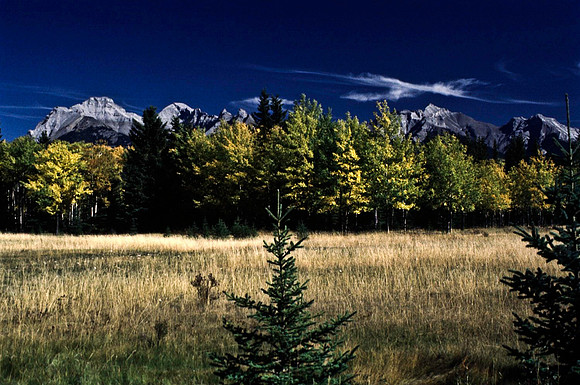 06823_B19_SL_COLOR_BISON_NAT_PARK_LAKE_LOUIS_VILLAGE_WS_97_18.jpg