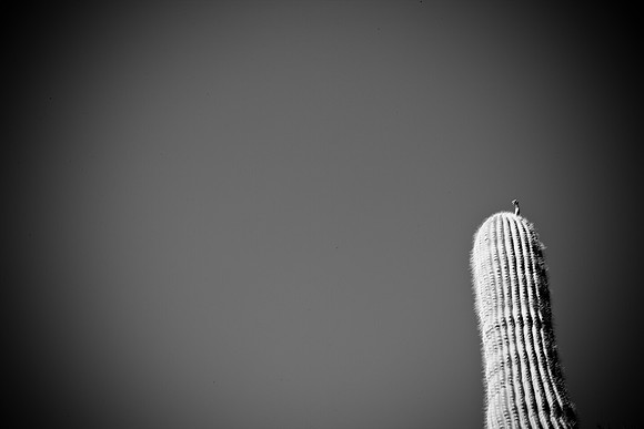 0031_La_Arizona_5L8Y5364
