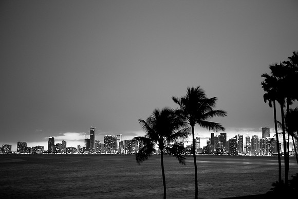 Miami_City_Ligth_Motion_20090220-5L8Y0859-2