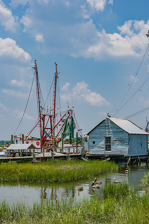 20060702_South_Carolina_ZV4N296