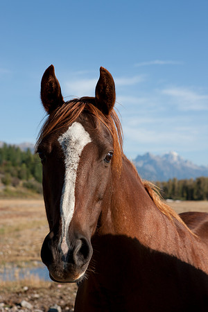 0020_Wyonming_To_Ketchem_Sun_Valley_ID_5L8Y7454