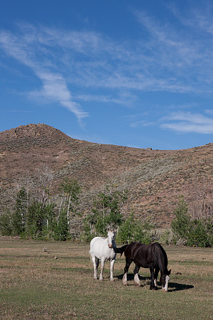 0021_Wyonming_To_Ketchem_Sun_Valley_ID_5L8Y70021_994