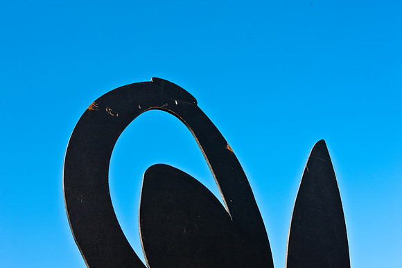 3452_DG_Biltmor_Hotel_Coral_Gables_Sculptures_Miami_FL_5L8Y0156