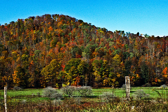 0336_FM_COLOR_MINESOTA_99_13.jpg