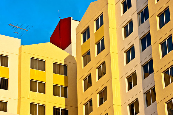 3788_DG_2_Ave_Wynwood_Miami_FL_5L8Y4499