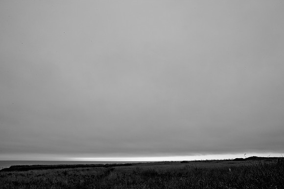 5L8Y0556