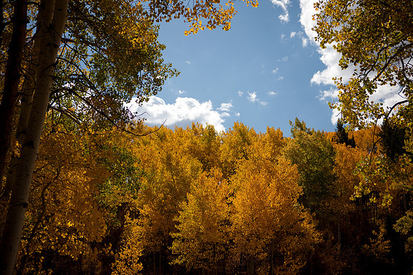 20080829_DVD15_DG_USA_Aspen_2162_full_blead