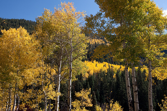 20080830_DVD14_DG_USA_Aspen_2398_full_blead