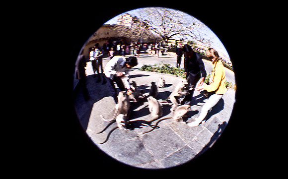47297_SL_COLOR_INDIA_1987_2