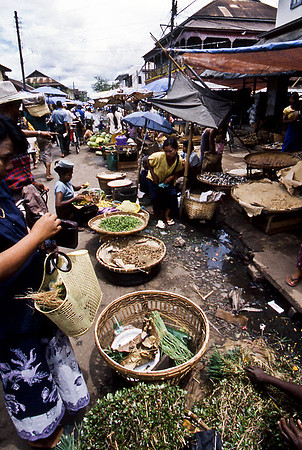 3484_SL_COLOR_AROUND_THE_WORLD_IN_8_MONTHS_APRIL_2000_3