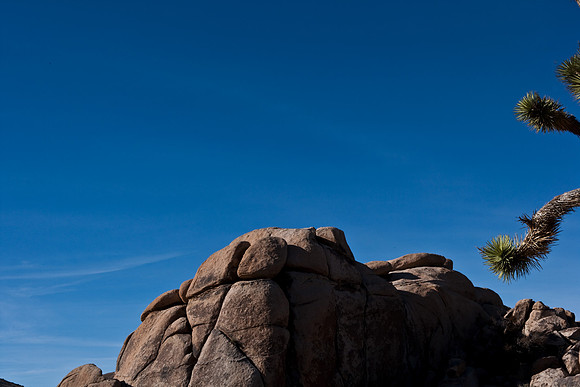 06646_DG_COLOR_JOSHUA_TREE_NAT_PARK_29_PALMS_CALIFORNIA_CA_USA_2007_ZV4N_419