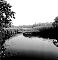 7816_A_BW_SQ_Mistic_STONINGTON_CT_04_10.jpg