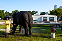 42588_Circus_Miami__Park__IMG_6337