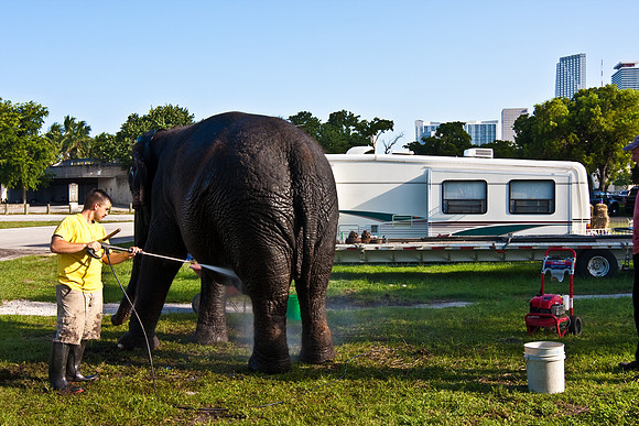 42588_Circus_Miami__Park__IMG_6337