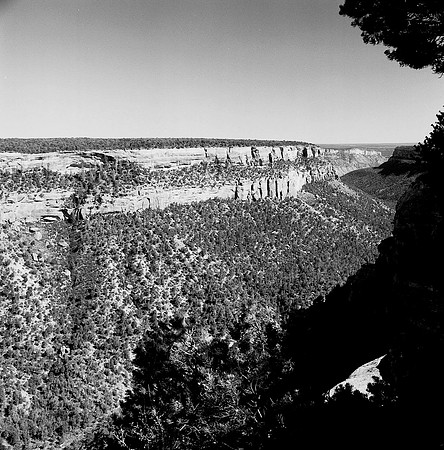 36047_film_BW_03_LR__NAVAJO_USA_AZ (1).jpg
