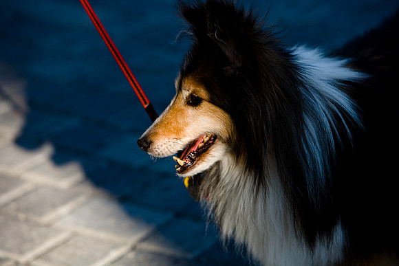 36145_DG_Color_USA_South_Beach_FL_Related_GroupZV4N4318