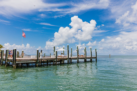 20160714_Key_West_Little_Palm__75A0599