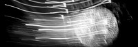 7675_B1_FM_BW_LIGHT_IN_MOTION_FL_06.tif
