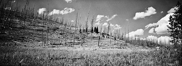 7551_FM_BW_XPAND_AZ_01_12.jpg