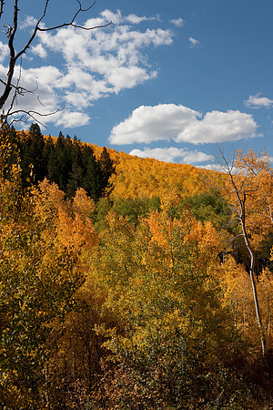 20080829_DVD15_DG_USA_Aspen_2101_full_blead