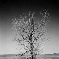 7548_B3P1_8_BW_SQ_MT_01_2.jpg