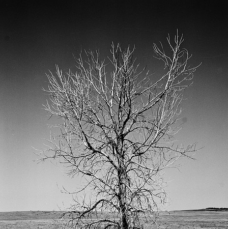 7548_B3P1_8_BW_SQ_MT_01_2.jpg
