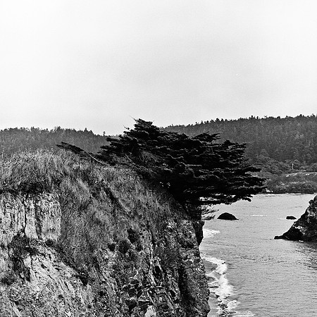 6040_FM_BW_BODEGA_BAY_CA_05_10.jpg