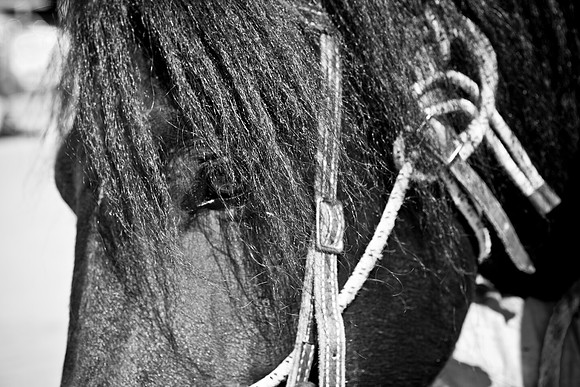 0044_North_Dacota_Fargo_to_South_Rapid_City_TO_CHEYENNE_5L8Y5368