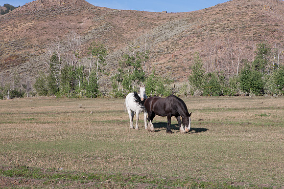 0021_Wyonming_To_Ketchem_Sun_Valley_ID_5L8Y70021_991