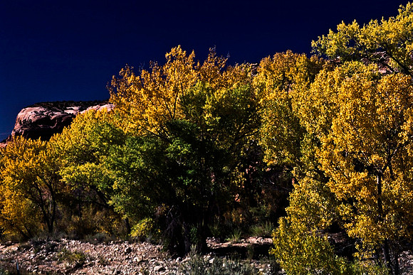 06785_B10_SL_COLOR_MOAB_TO_CHURCH_ROCK_HWY191_TO_HOLE_THE_ROCK_UT_97_07.jpg