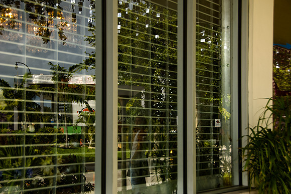 36156_DG_Color_USA_Miami_FL_Biscayne_BlvdDSC_1696_Oasis_Biscayne_BLV_Related