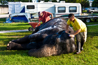 42588_Circus_Miami__Park__IMG_6387