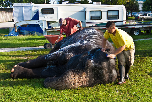 42588_Circus_Miami__Park__IMG_6387