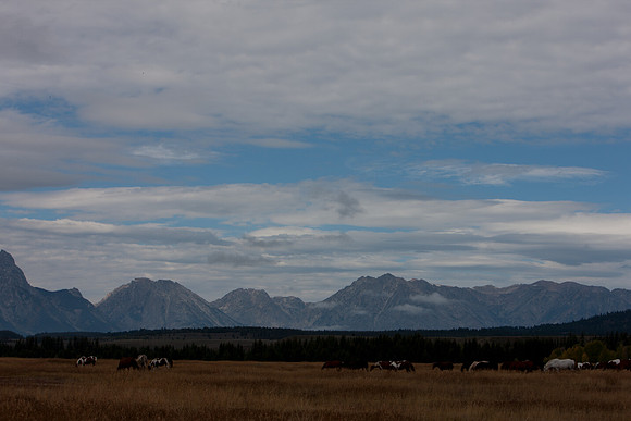 0020_Wyonming_To_Ketchem_Sun_Valley_ID_5L8Y7399