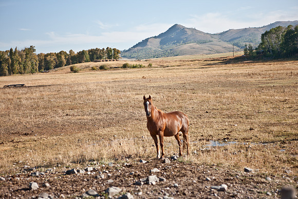 0020_Wyonming_To_Ketchem_Sun_Valley_ID_5L8Y7426