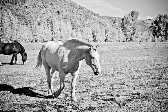 0021_Wyonming_To_Ketchem_Sun_Valley_ID_5L8Y80021_017