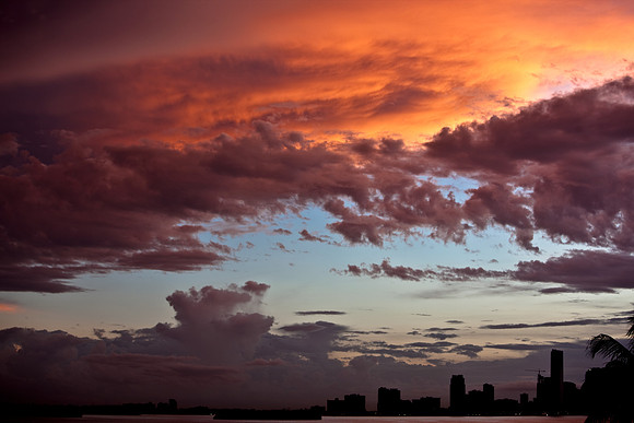 3034_Miami_Skyline_20090607-5L8Y0043