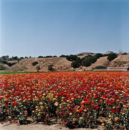 6032_COLOR_SQ_PACIFIC_HWY_AND_SLOVANG_CA_USA_05_6.jpg