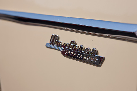 0026_DG_Mill_Valley_CA_USA_2009_5L8Y1809