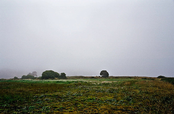 6047_COLOR_NAPA_TO_MENDOCINO_CALIFORNIA_USA_05_4.jpg
