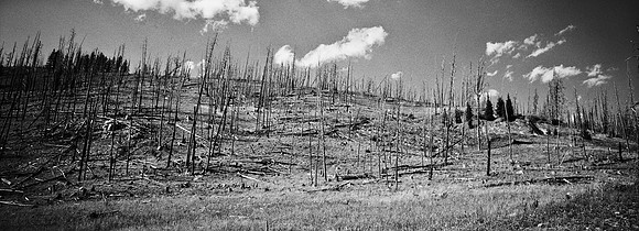 7551_FM_BW_XPAND_AZ_01_18.jpg