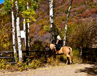 20080829_DVD15_DG_USA_Aspen_2132_full_blead