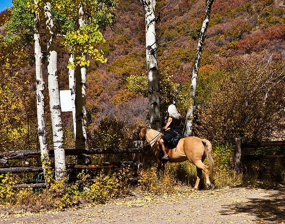 20080829_DVD15_DG_USA_Aspen_2132_full_blead